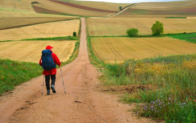 The Way, My Way The Way, My Way